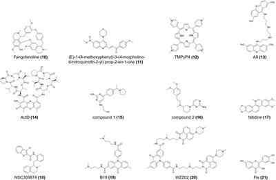 Emerging roles of i-motif in gene expression and disease treatment